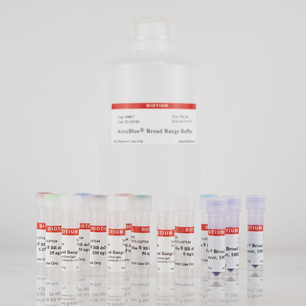 AccuBlue® Broad Range dsDNA Quantitation Solution