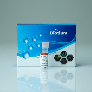 GelGreen® Nucleic Acid Gel Stain, 10, 000X in Water