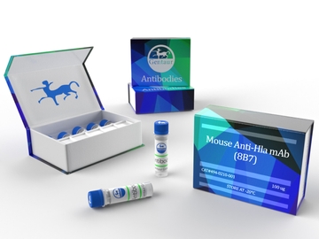 Mouse anti-SUDV GP mAb (2H5)