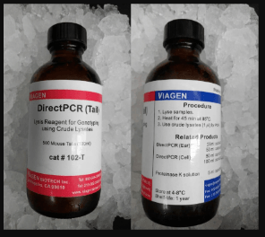 DIRECTPCR LYSIS REAGENT (TAIL)